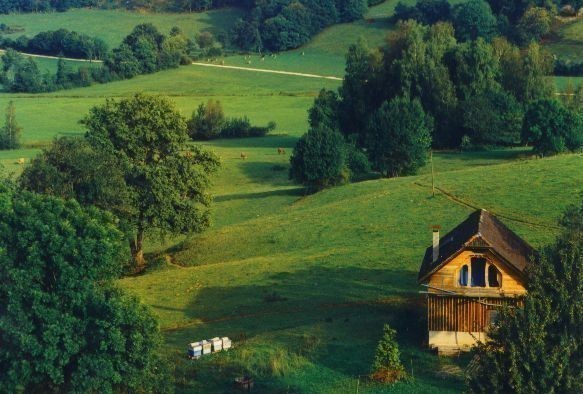 Das Holzhuschen